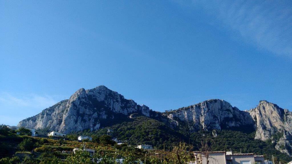 Casa Paolina - Casa Vacanze Capri Bagian luar foto