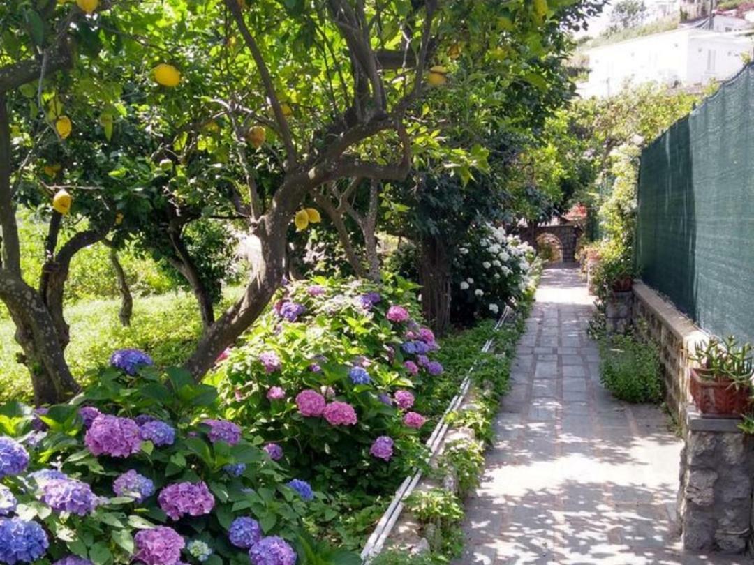 Casa Paolina - Casa Vacanze Capri Bagian luar foto